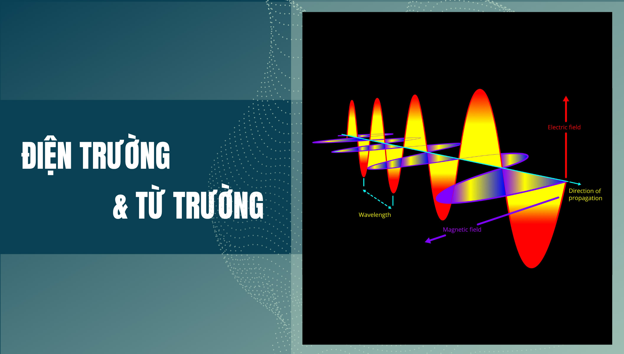 Điện trường và Từ trường là gì?