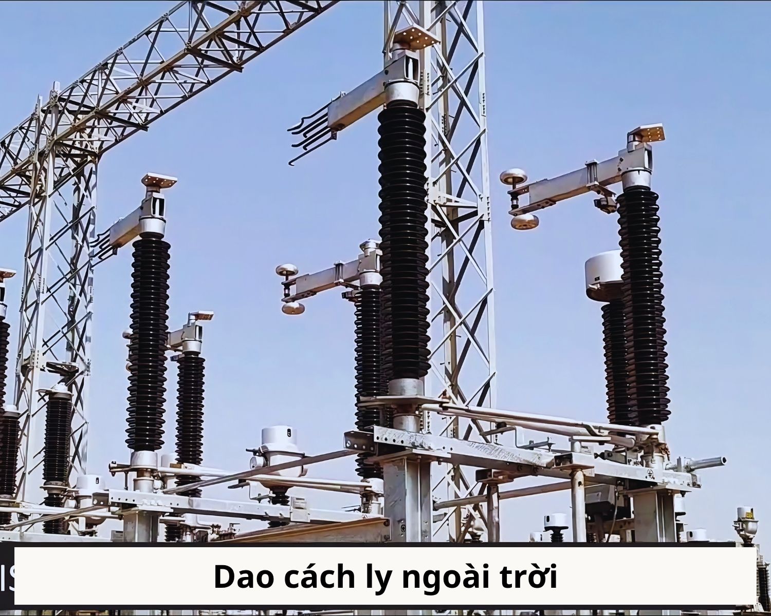dao cach ly ngoài troi dao cach ly ngoai troi