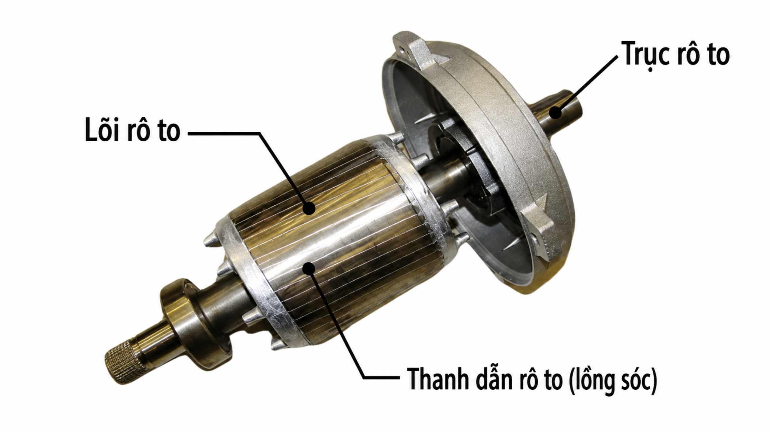 Động Cơ Điện Không Đồng Bộ Rôto Quấn Dây dong-co-dien-khong-dong-bo-roto-long-soc-cau-tao